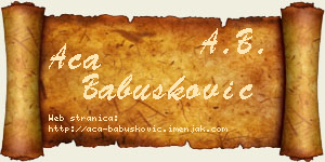 Aca Babušković vizit kartica